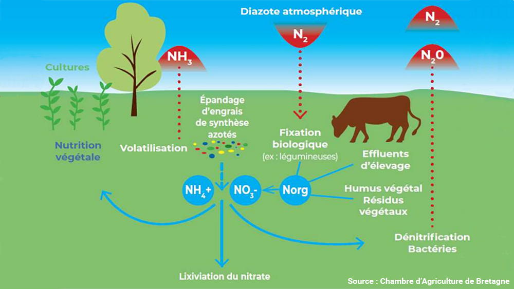 schema des différents polluants liés à l'agriculture